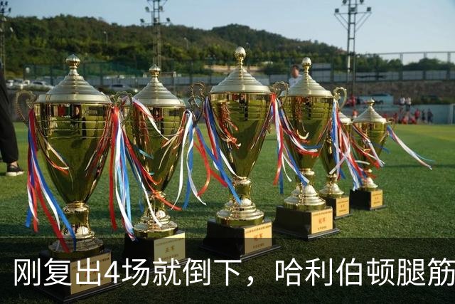 刚复出4场就倒下，哈利伯顿腿筋拉伤再缺阵