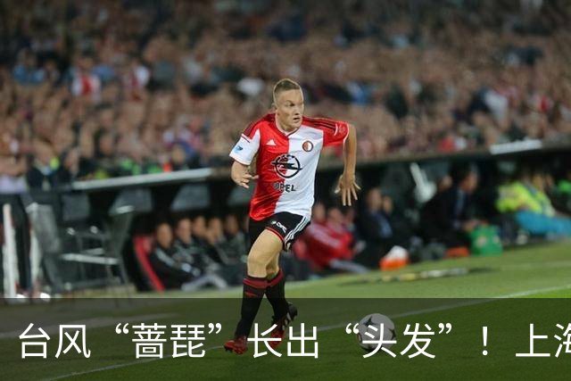 台风“蔷琵”长出“头发”！上海六区发布预警，全市今天傍晚至明天暴雨，局部大暴雨！6万多人紧急转移；浦东、虹桥等29座机场或将受扰