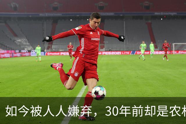如今被人人嫌弃，30年前却是农村香饽饽，为何如今仍然大量养殖