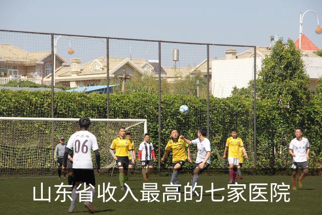 山东省收入最高的七家医院