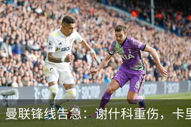 曼联锋线告急：谢什科重伤，卡里克力争取援勒温