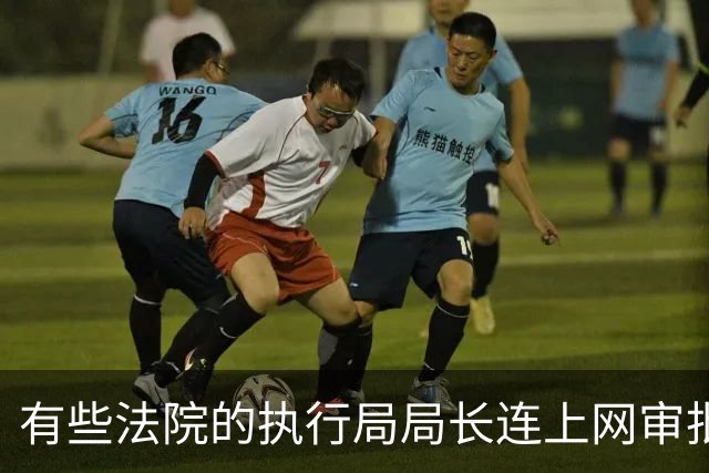 有些法院的执行局局长连上网审批的时间都没有，他们到底在忙什么？