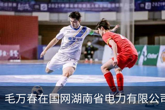 毛万春在国网湖南省电力有限公司调研