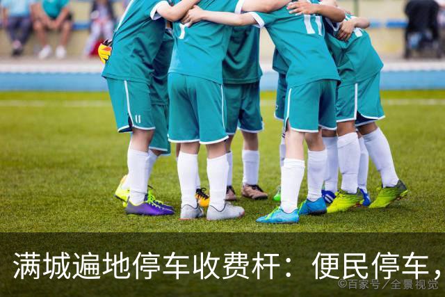 满城遍地停车收费杆：便民停车，为何变了味道？