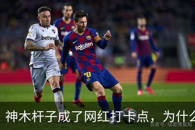 神木杆子成了网红打卡点，为什么要围起来？