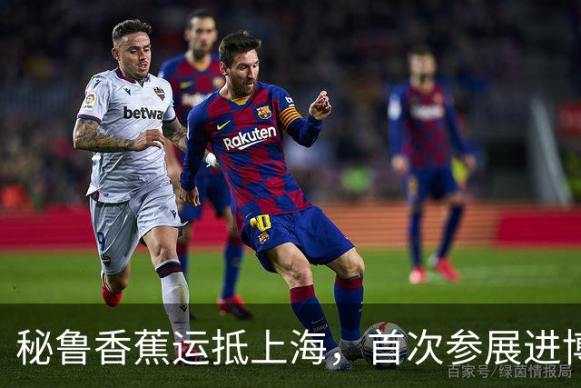 秘鲁香蕉运抵上海，首次参展进博会