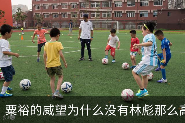 粟裕的威望为什么没有林彪那么高