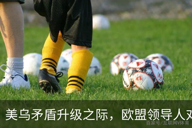 美乌矛盾升级之际，欧盟领导人对泽连斯基说“你可以信赖我们”