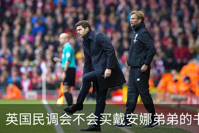 英国民调会不会买戴安娜弟弟的书，民众：不，连上厕所用都不配！