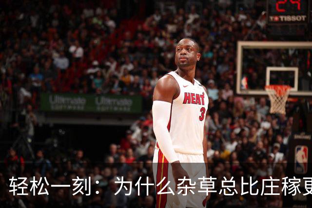轻松一刻：为什么杂草总比庄稼更顽强？