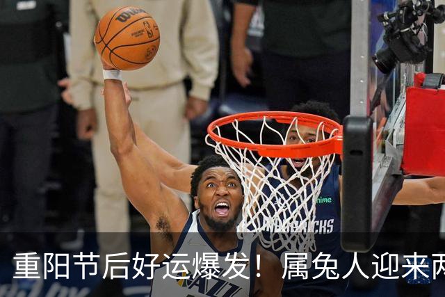 重阳节后好运爆发！属兔人迎来两大喜事，别错过